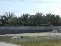 /album/kargan%2c-southern-iran-%d8%a8%d9%86%d8%af%d8%b1-%da%a9%d8%b1%da%af%d8%a7%d9%86/kargan-souther-iran-feb2014-75-jpg/